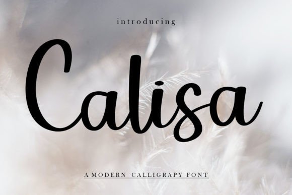 Calisa Font Review: A Sweet and Friendly Typeface for Small Brands