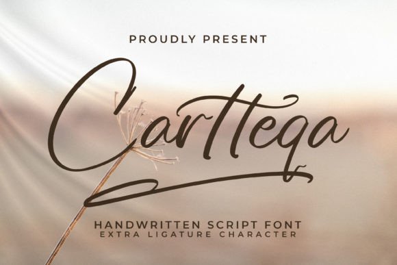 Cartteqa: A Designer's Honest Review for Real Projects