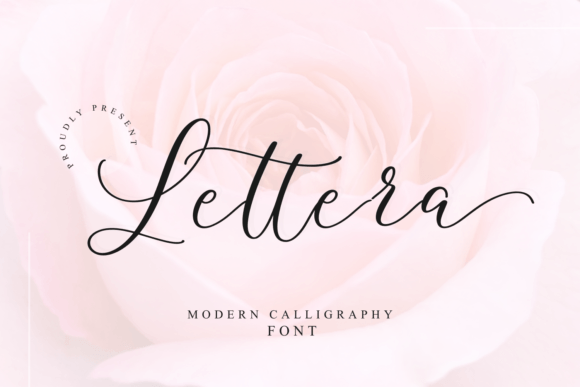 Lettera: A Script Font That Brings Quiet Confidence