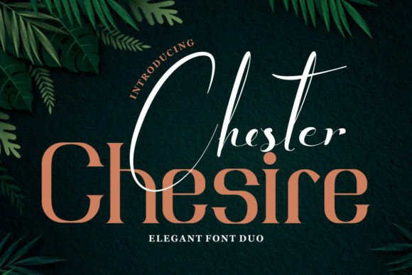 Putting Chester Chesire to Work in a Real Branding Project