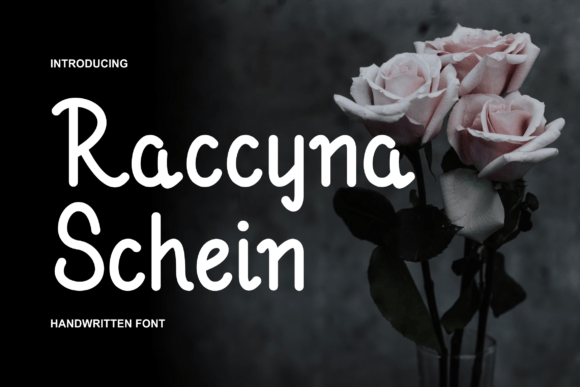 Raccyna Schein Font: A Bold Choice for Modern Branding