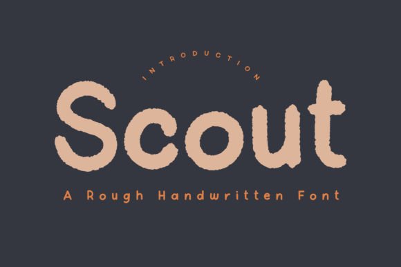 Scout: An Approachable Script for Modern, Creative Brands