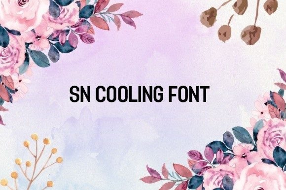 Sn Cooling: A Romantic Script Font With Real Branding Muscle