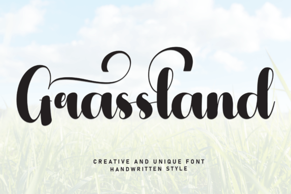 Why Grassland Font is Perfect for a Cohesive, Organic Brand